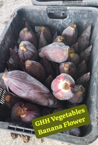 Banana Flowers