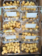 Barhi Dates