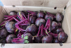 Beetroots