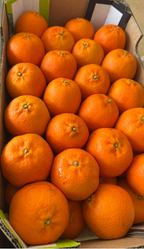 Big Mandarin Oranges