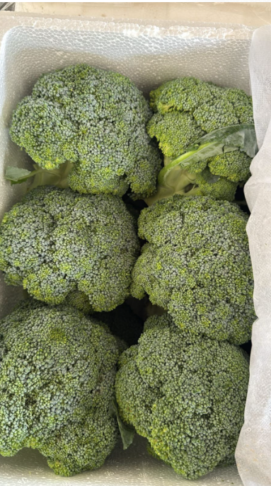 Broccoli