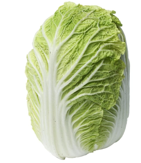 Cabbage Long