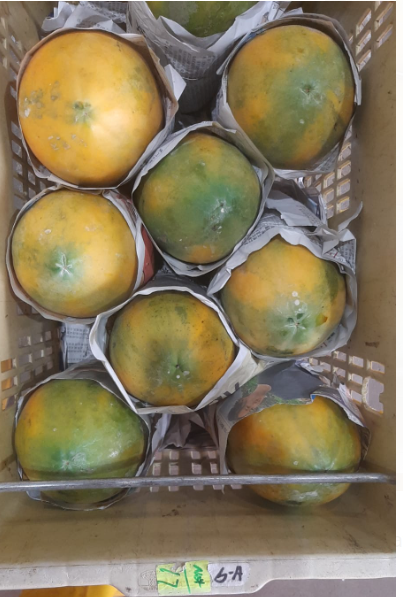 Fruit Papaya