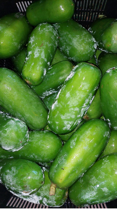 Green Papaya