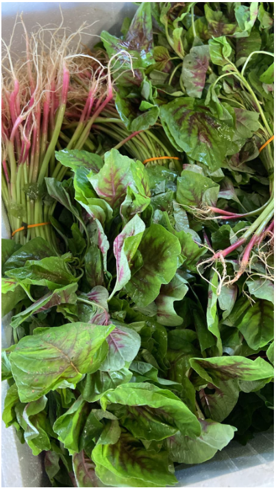 Green Red Spinach