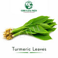 Turmeric Leaves