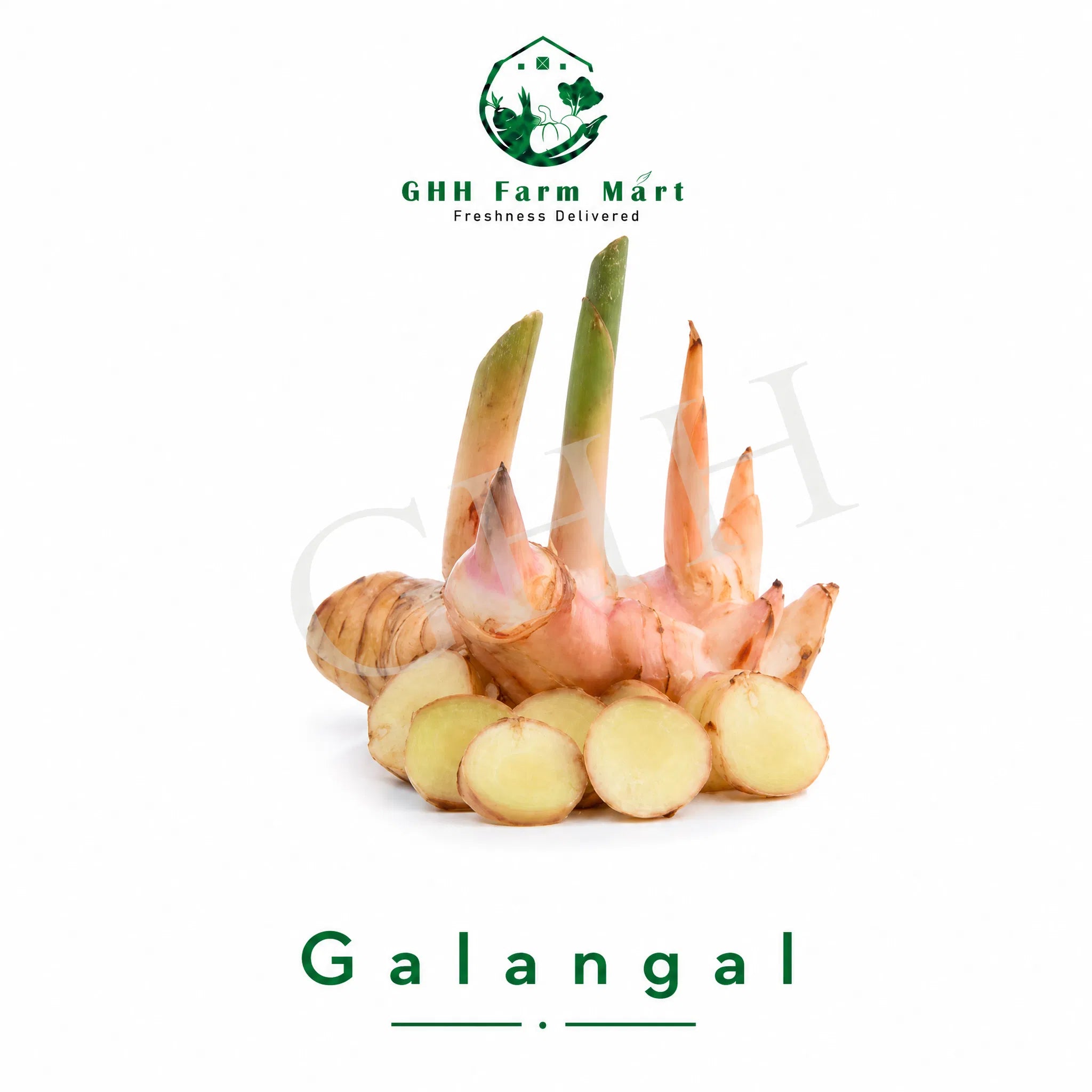 Galangal