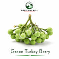 Green Turkey Berry