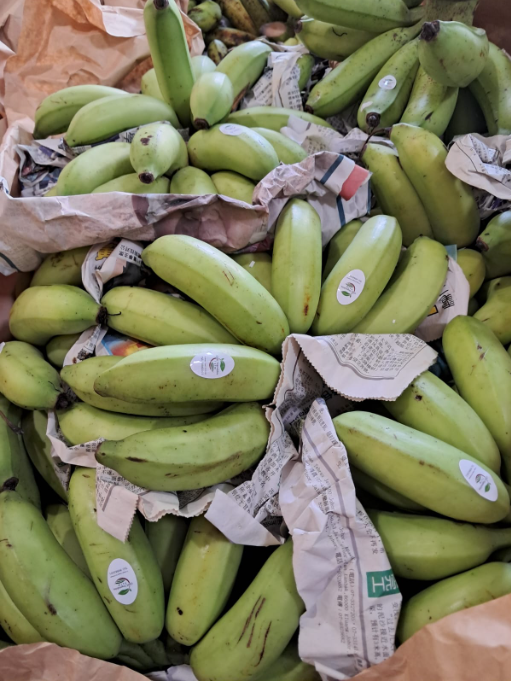 Rasthali Banana