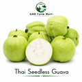 Thai Seedless Guava