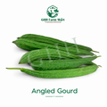 Angled Gourd (per piece)