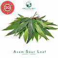 Asam Sour Leaf