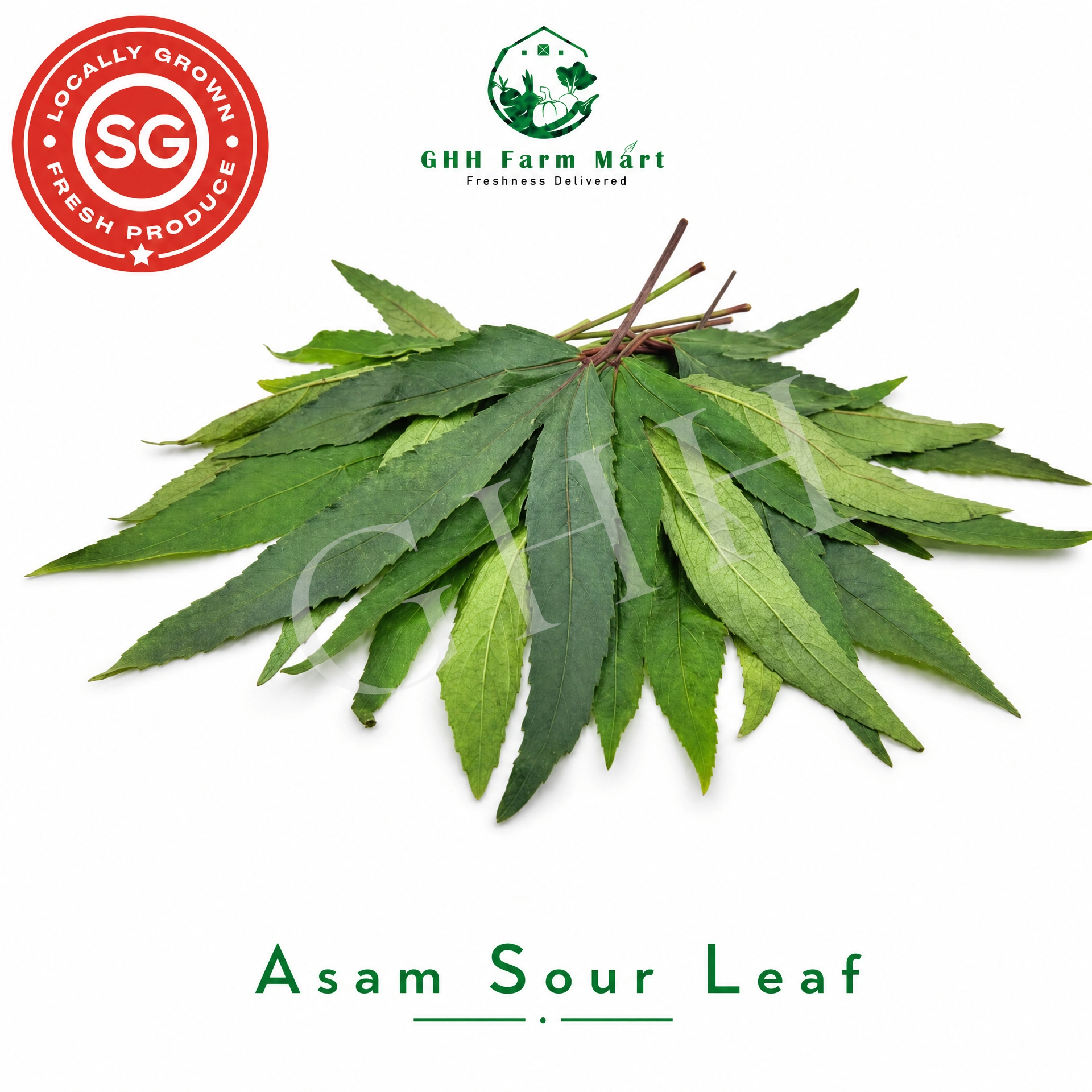 Asam Sour Leaf