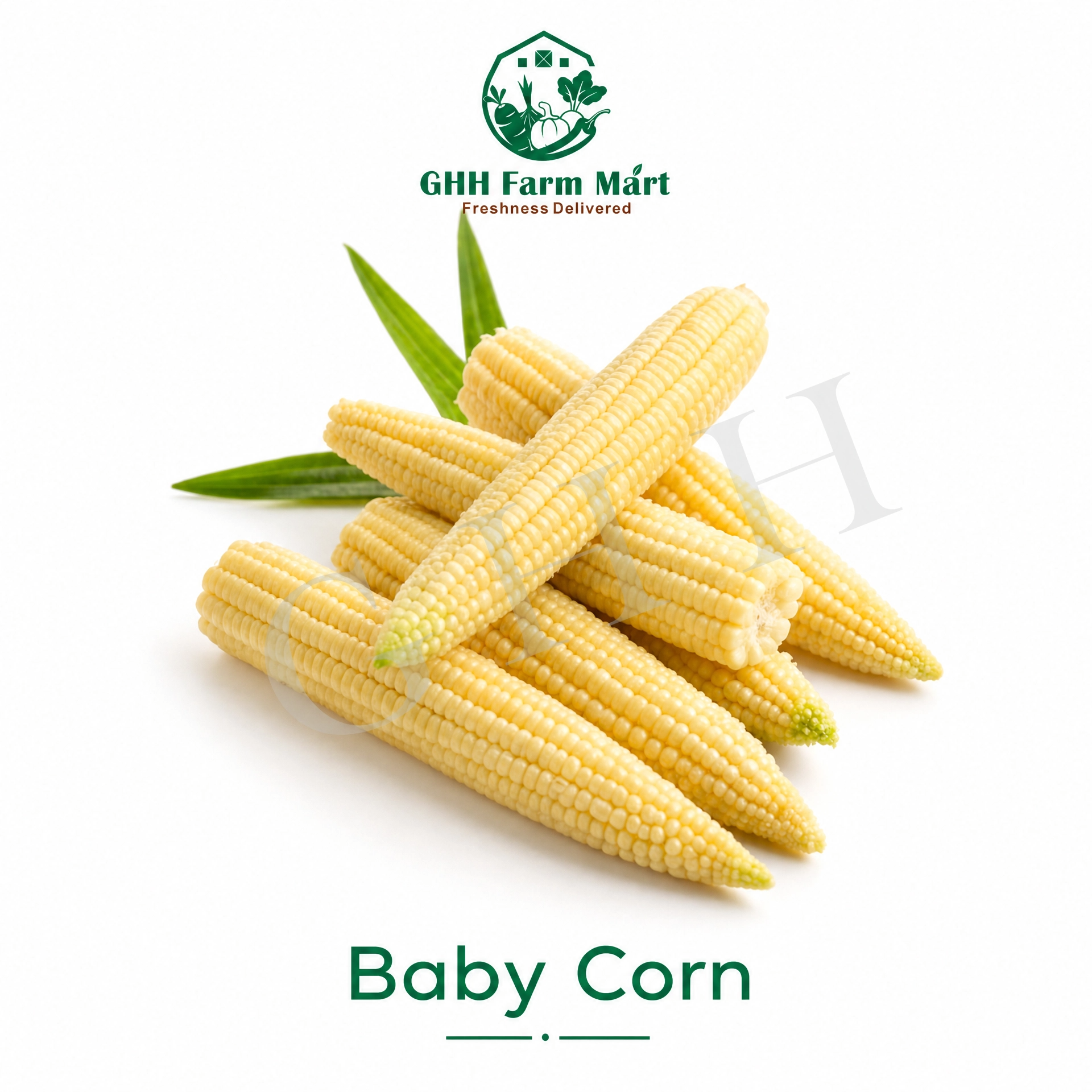 Baby Corn (Per pkt - 100g +/-)