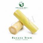Banana Stem