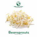 Beansprouts