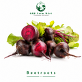 Beetroots