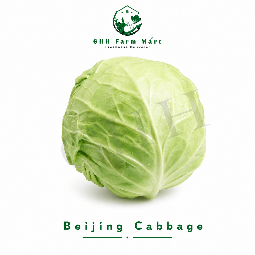 Beijing Cabbage