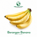 Berangan Banana