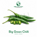Big Green Chilli