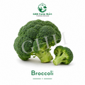 Broccoli
