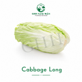 Cabbage Long