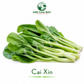 Cai Xin