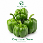 Capsicum Green