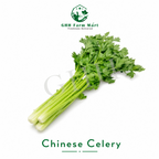 Chinese Celery