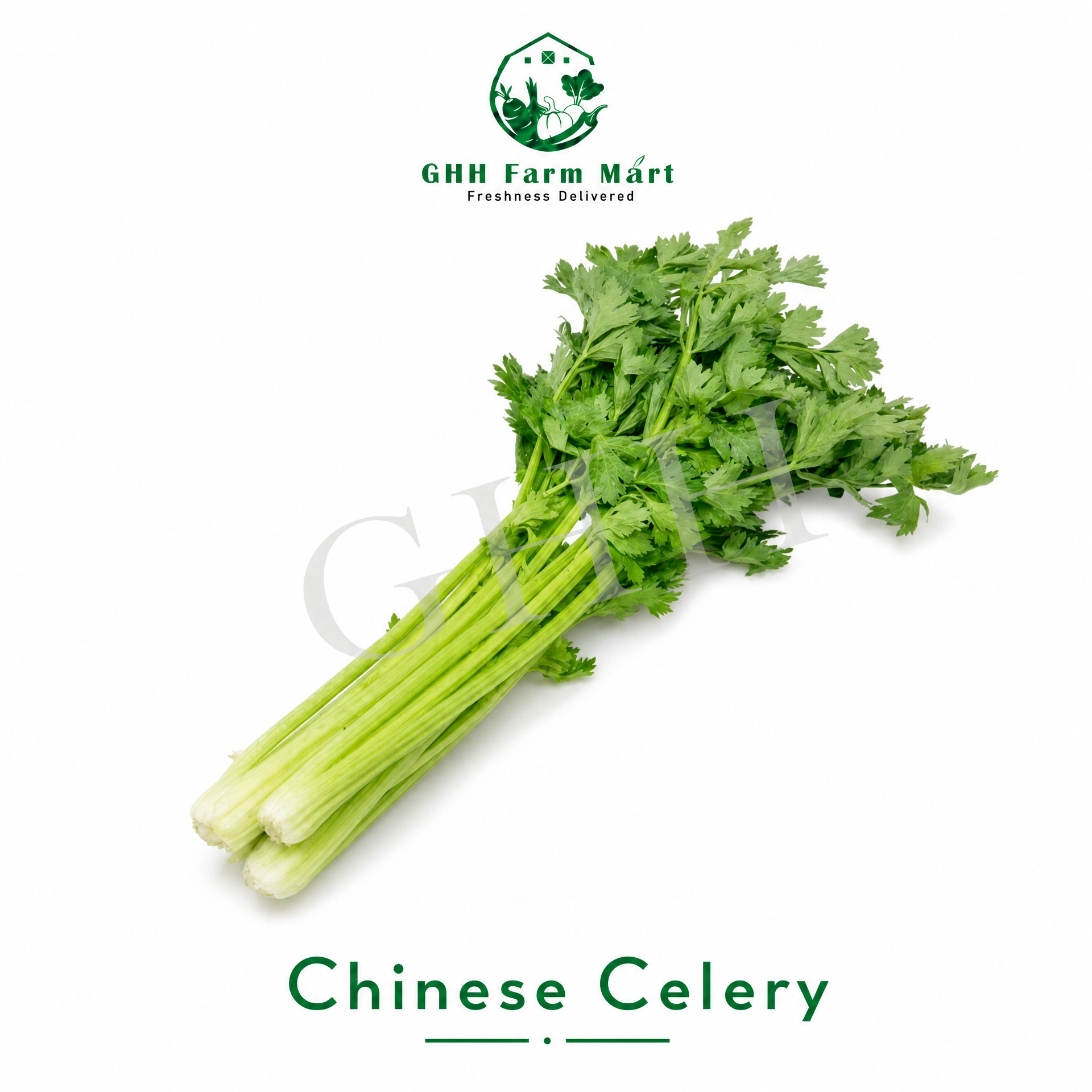 Chinese Celery