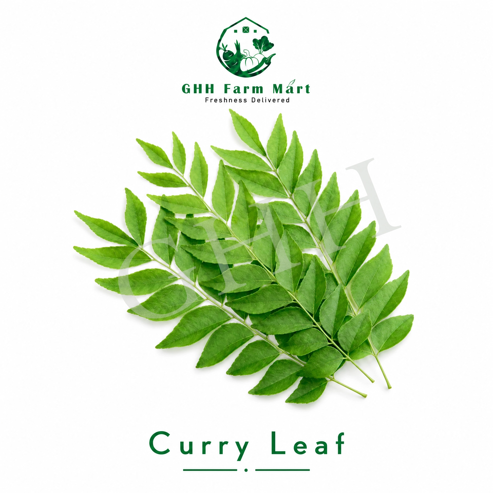 Curry Leaf