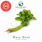 Data Shak