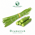 Drumstick