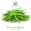 French Bean
