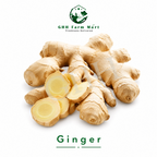 Ginger