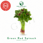 Green Red Spinach