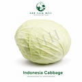 Indonesia Cabbage