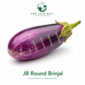JB Round Brinjal