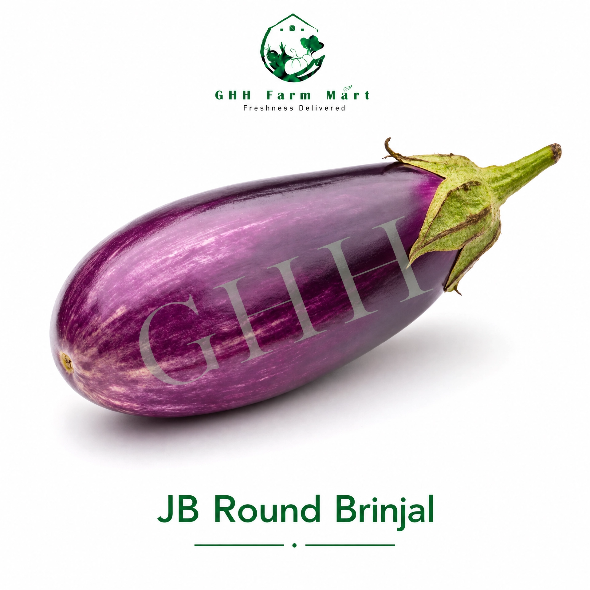 JB Round Brinjal
