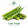 Lady Finger