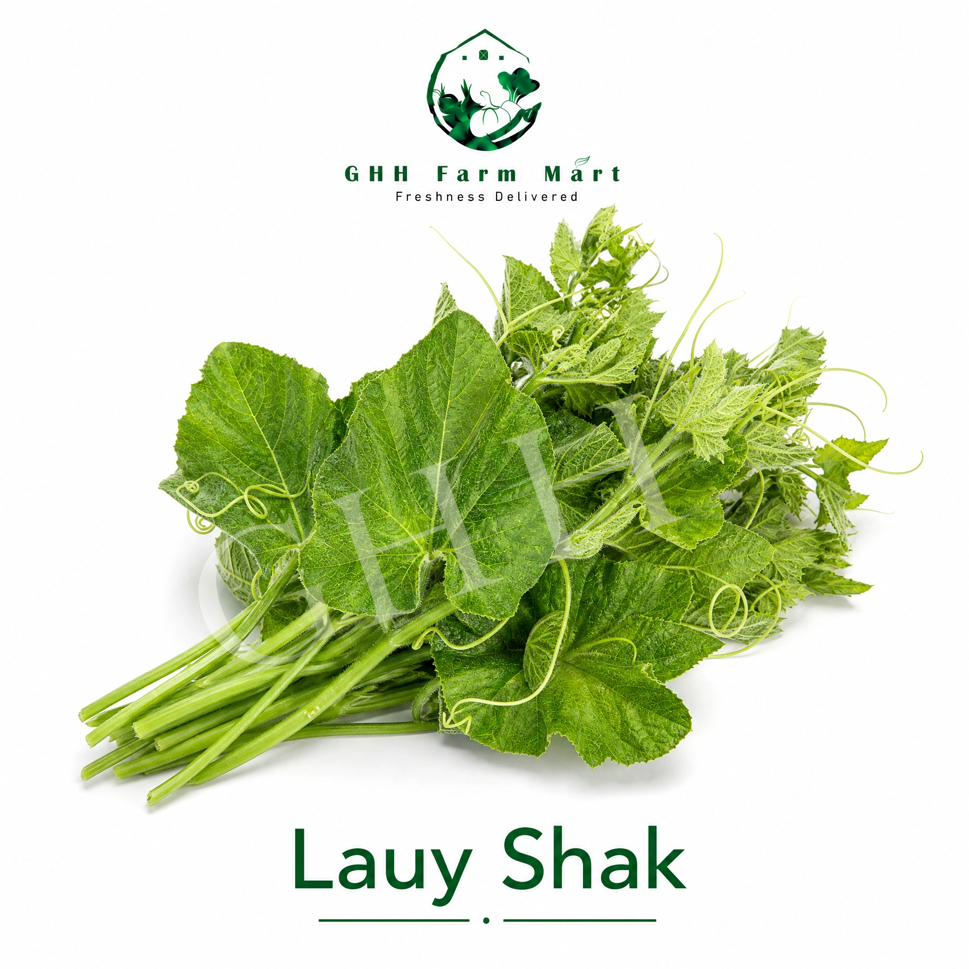 Lauy Shak