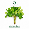 Lemon Leaf