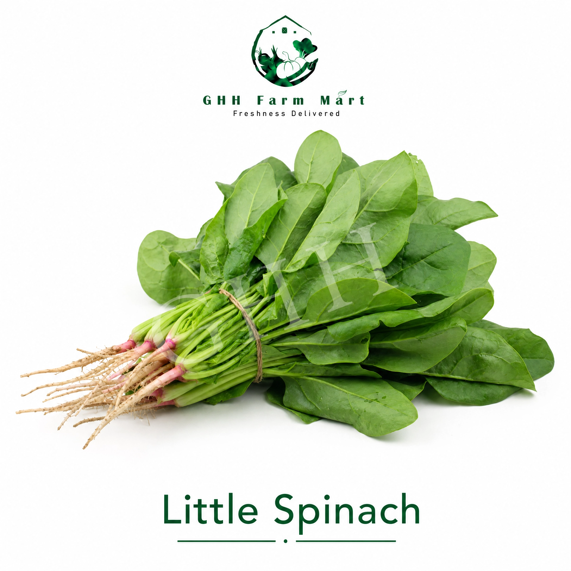 Little Spinach