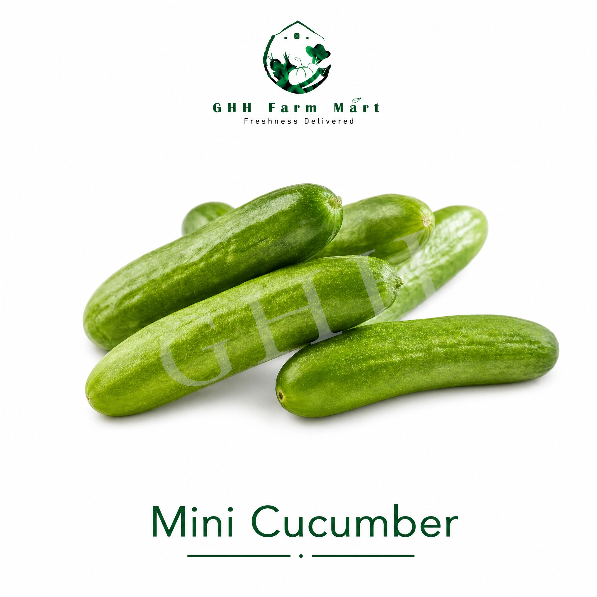 Mini Cucumber