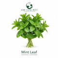 Mint Leaf