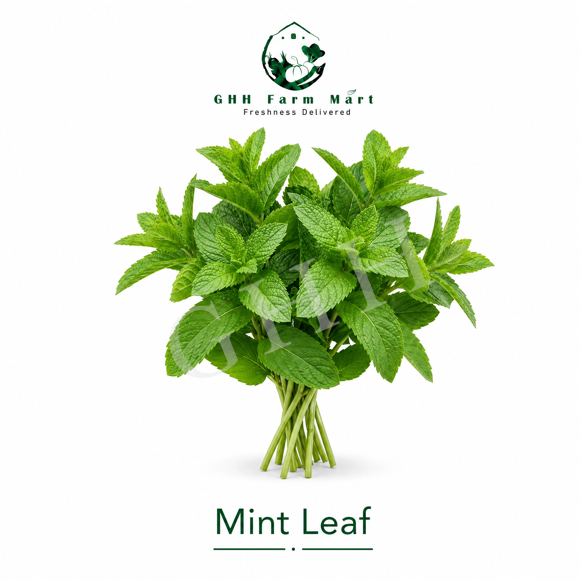 Mint Leaf