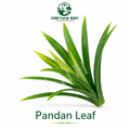 Pandan Leaf