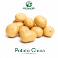 Potato China