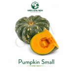 Pumpkin Small