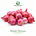 Small Onions